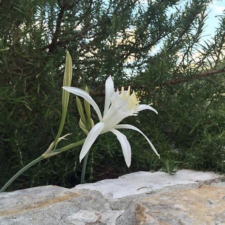 Ca' Di Bianca Ξενοδοχείο Moneglia Εξωτερικό φωτογραφία